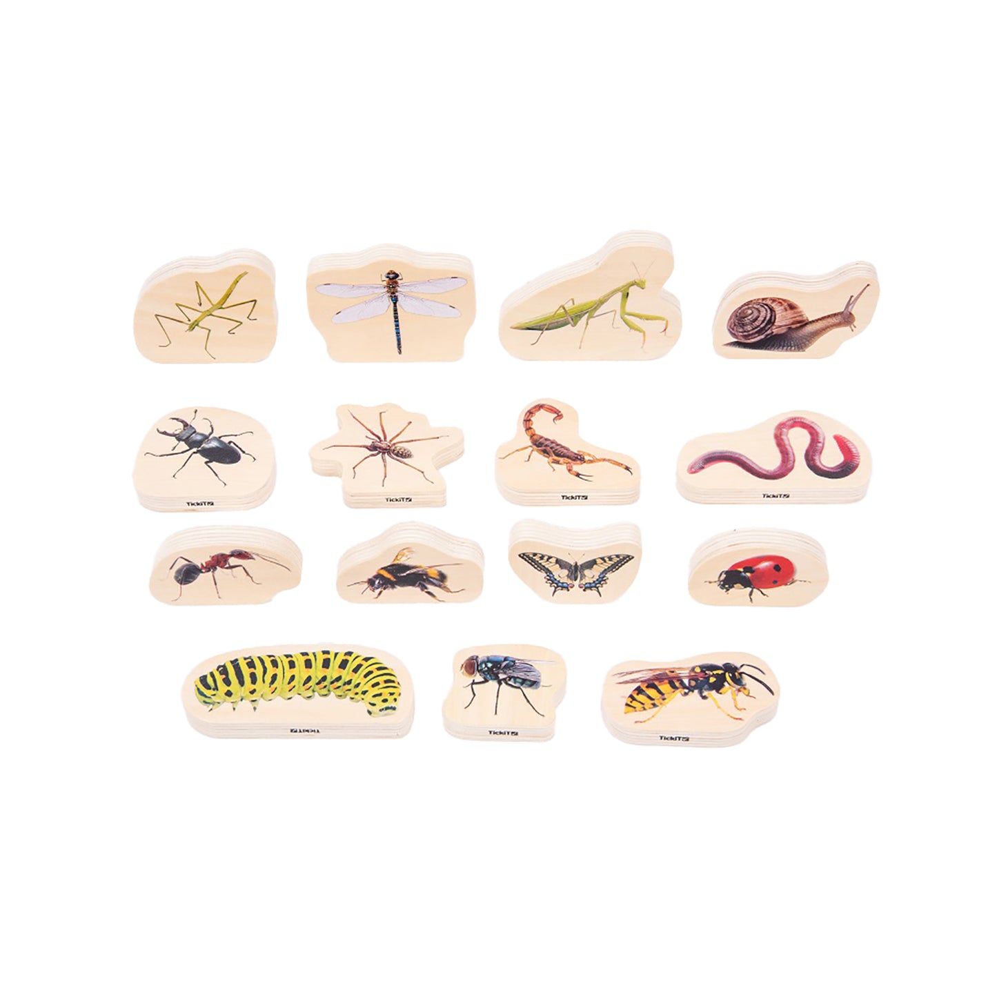 Wooden Minibeast Blocks - Set of 15