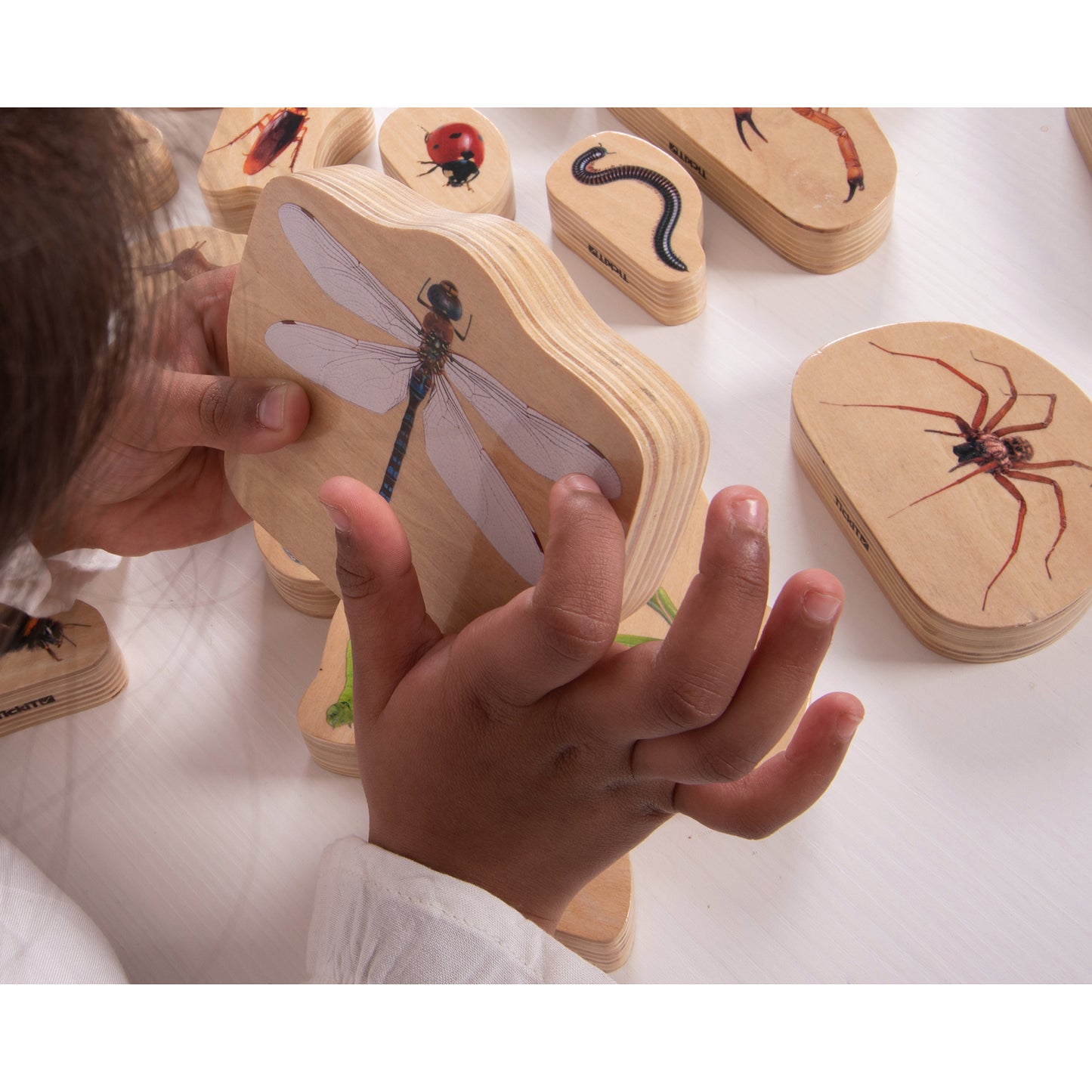 Wooden Minibeast Blocks - Set of 15
