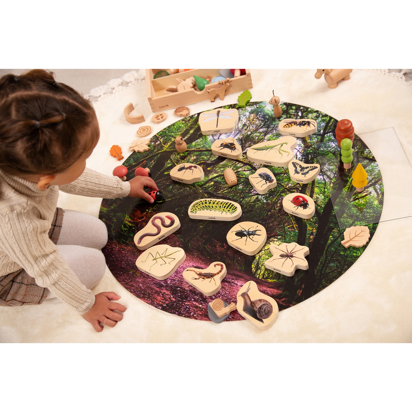 Wooden Minibeast Blocks - Set of 15