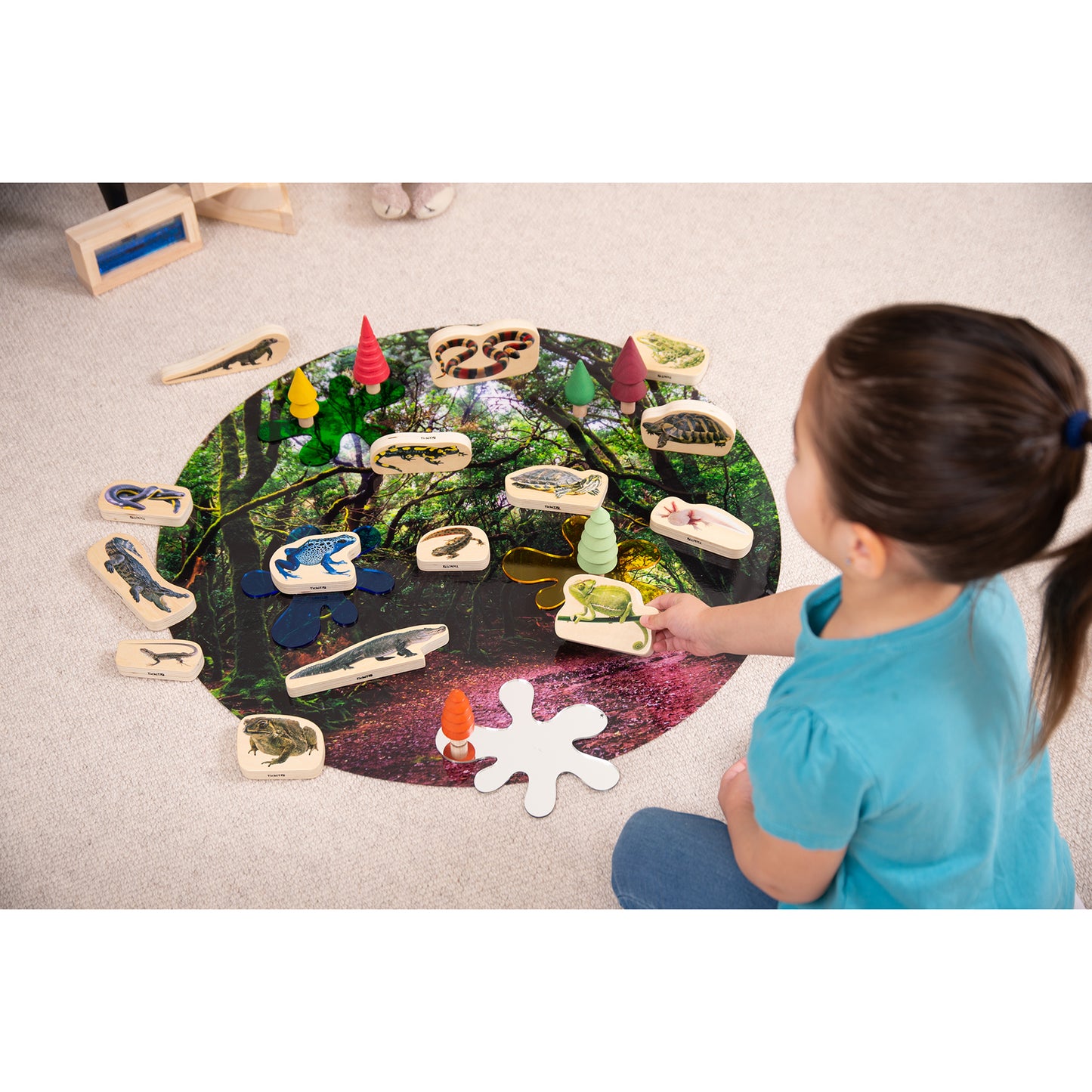 Wooden Reptile & Amphibian Blocks - Set of 15