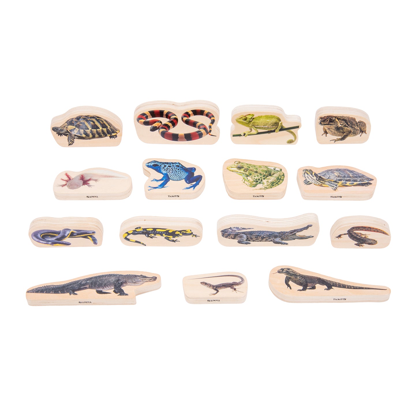 Wooden Reptile & Amphibian Blocks - Set of 15