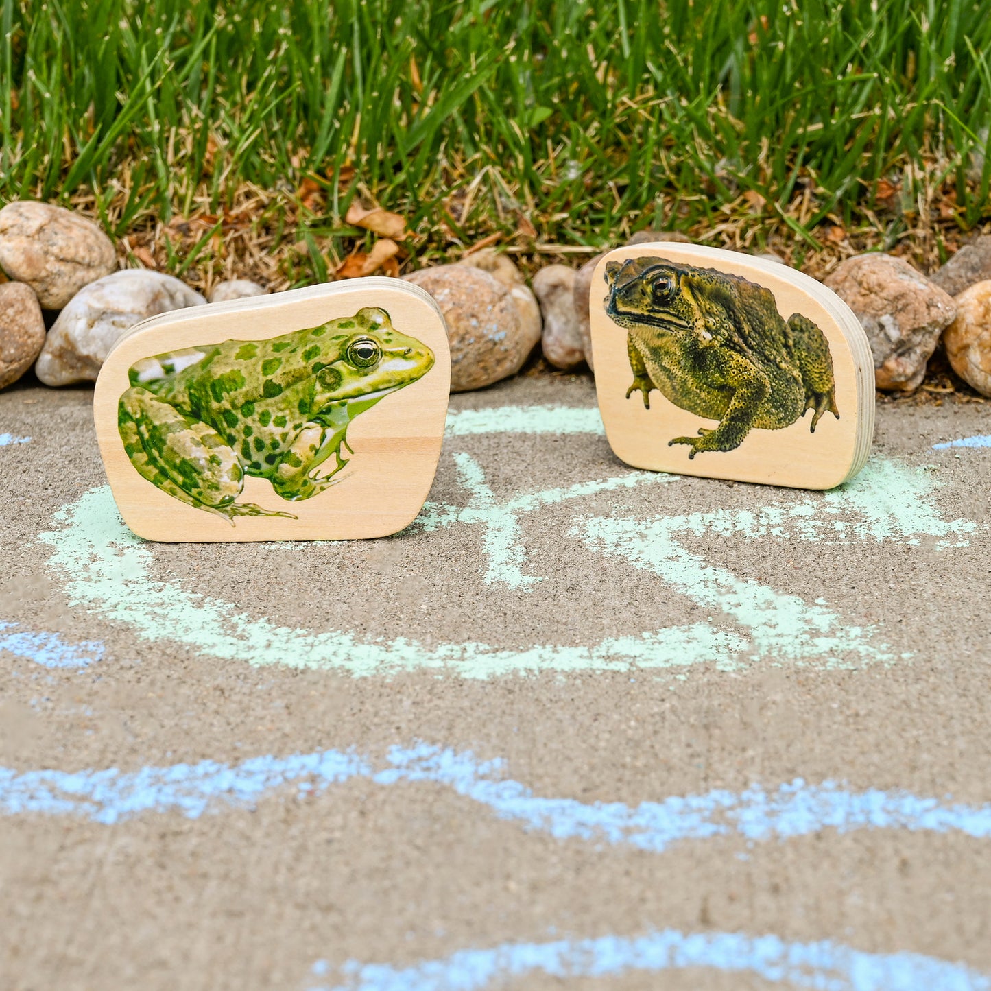 Wooden Reptile & Amphibian Blocks - Set of 15