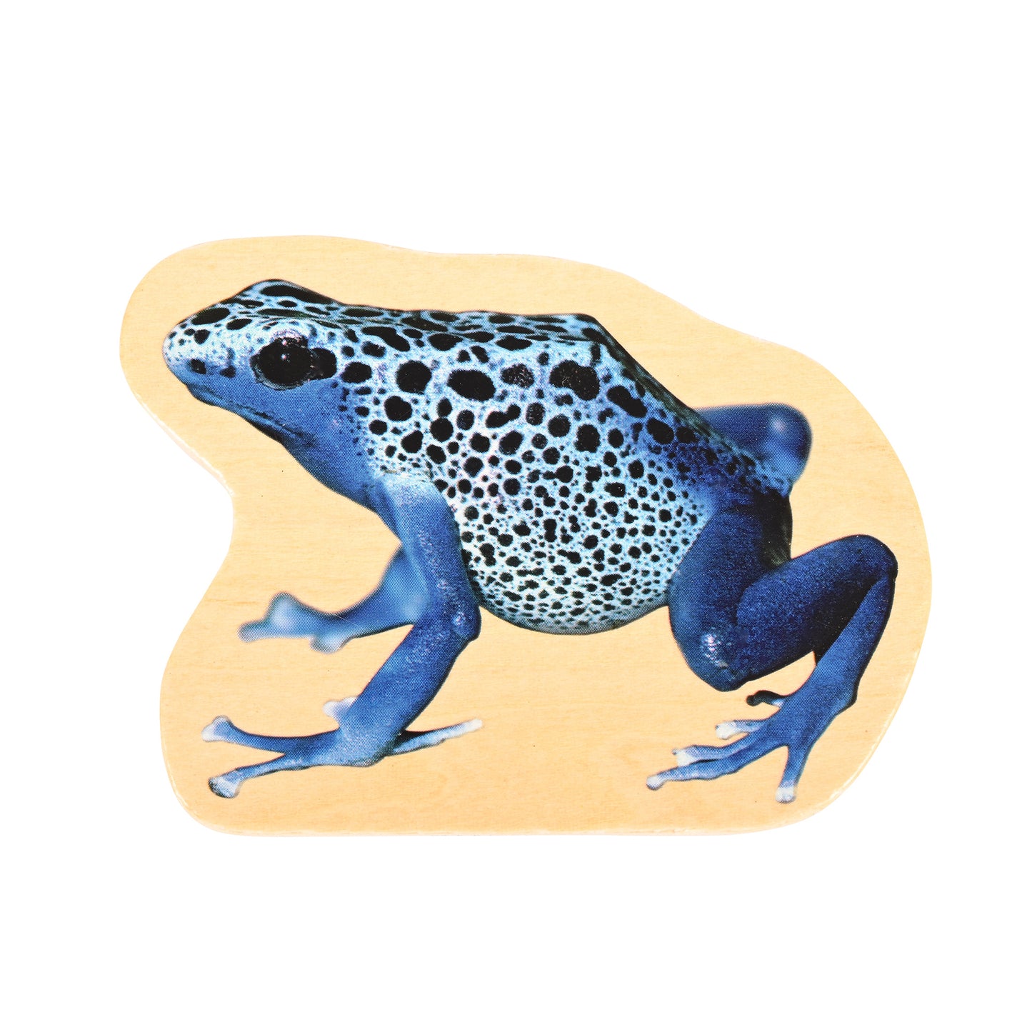 Wooden Reptile & Amphibian Blocks - Set of 15