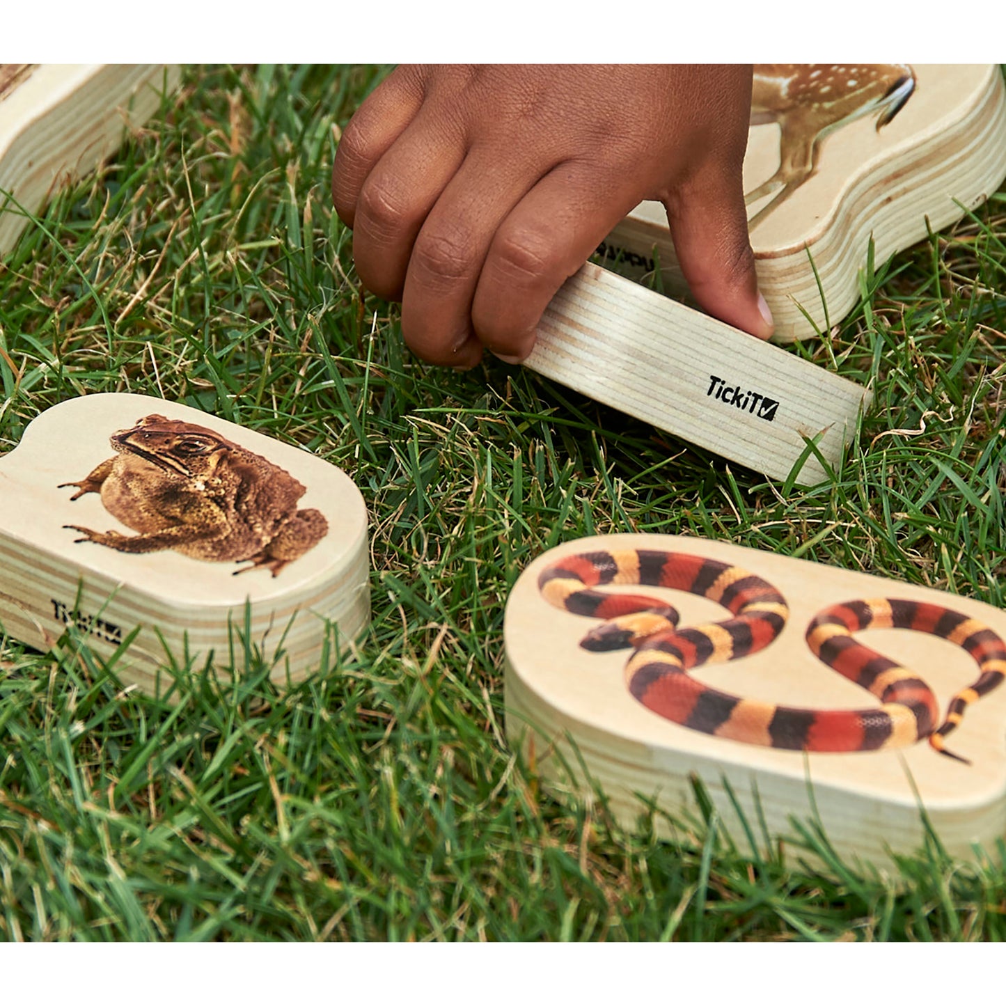 Wooden Reptile & Amphibian Blocks - Set of 15
