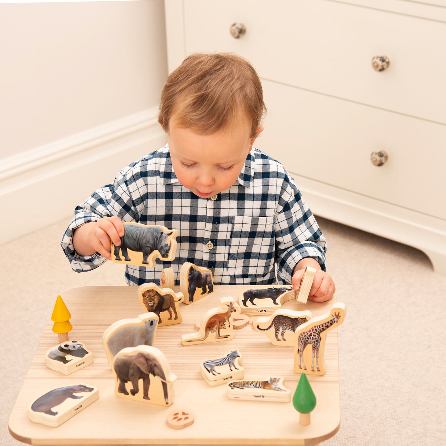 Wooden Wild Animal Blocks - Set of 15