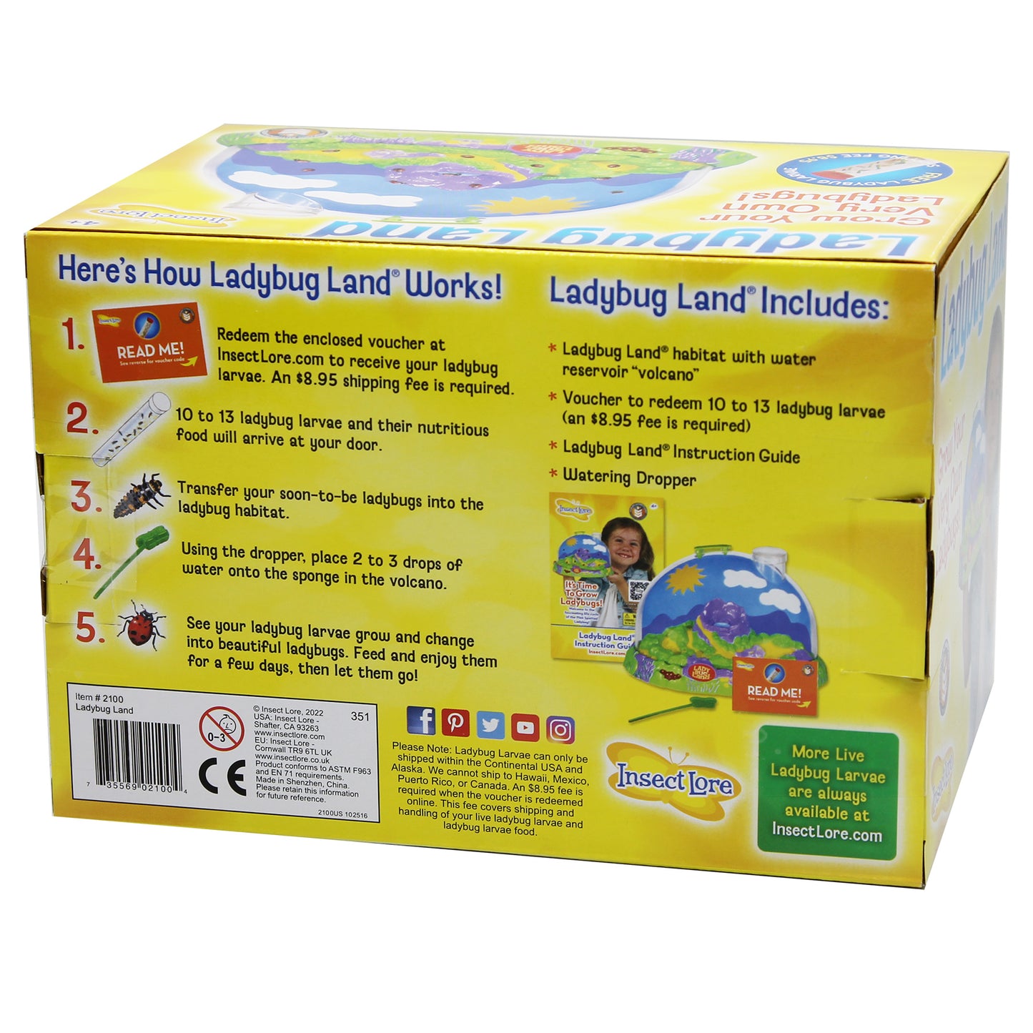Insect Lore Ladybug Land (ILP 2100)