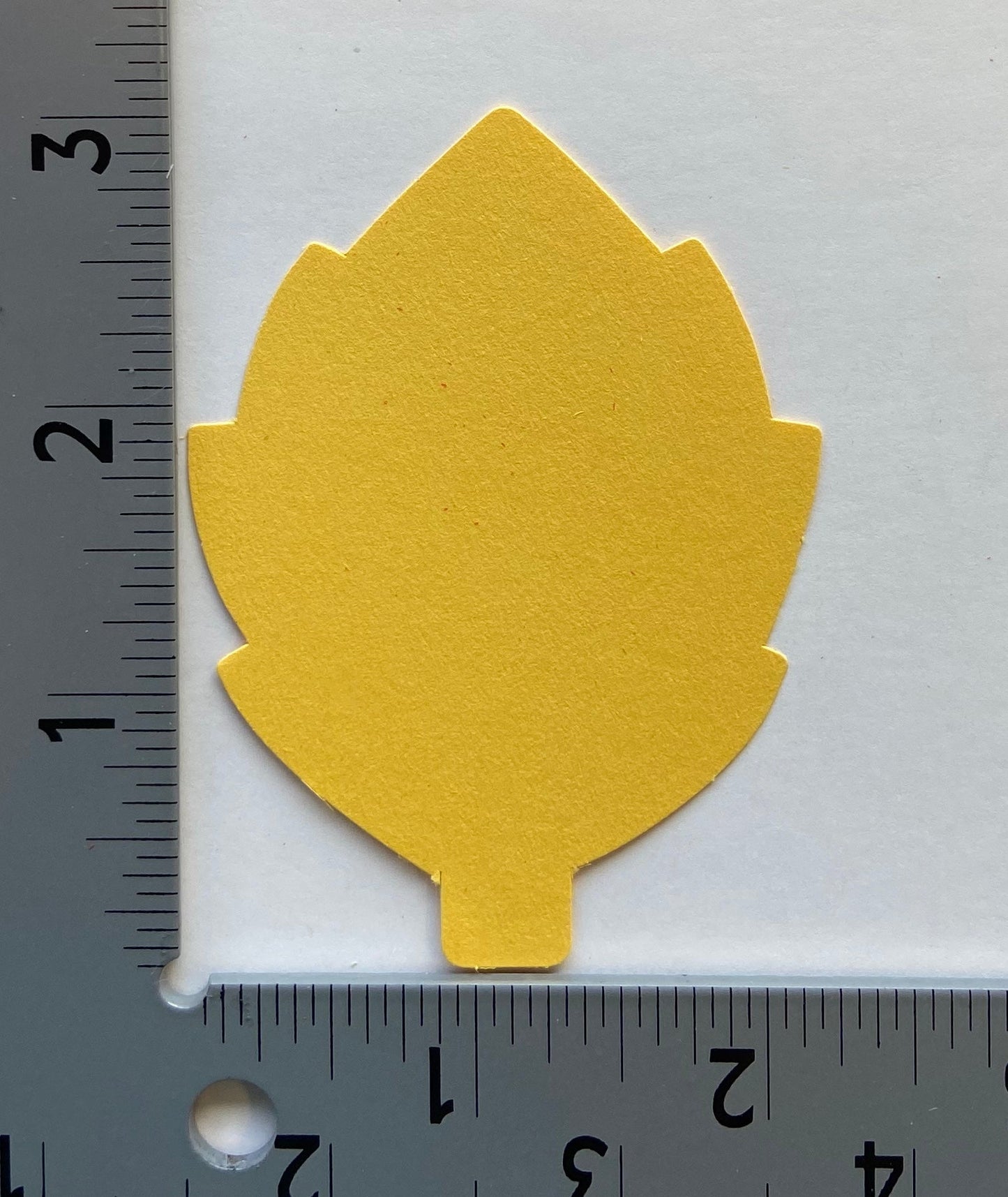 SHAPES ETC. Leaf Tri-Color Creative Cut-Outs- 3"